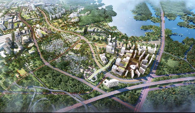 1619092789754863.jpg 640.webp (2).jpg