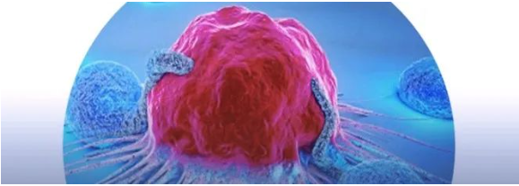 1662603701104257.png image.png